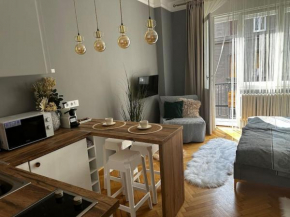 Luxury downtown apartment